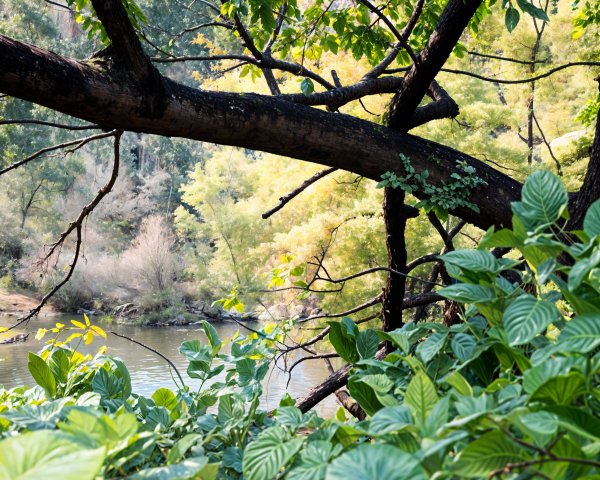 Tranquil Nature Scene with Lush Foliage and Water