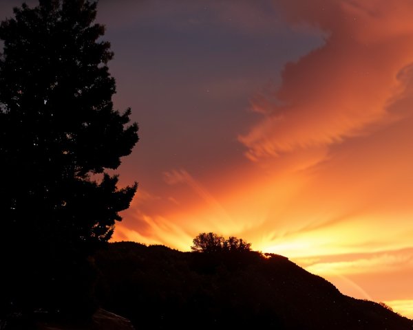 Vibrant Sunset with Silhouetted Tree and Mountains