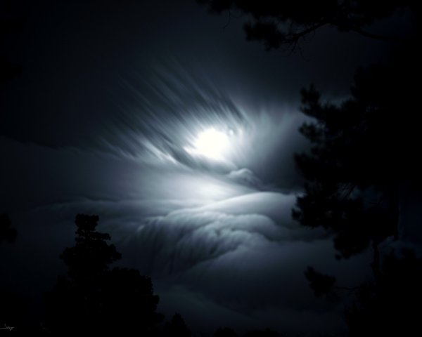 Dramatic Night Sky with Full Moon and Silhouetted Trees