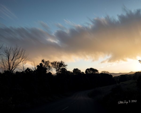 Serene Dusk Landscape with Winding Road and Trees