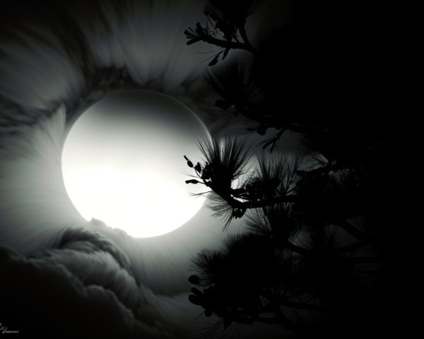 Oversized Sun with Dark Clouds and Pine Silhouettes