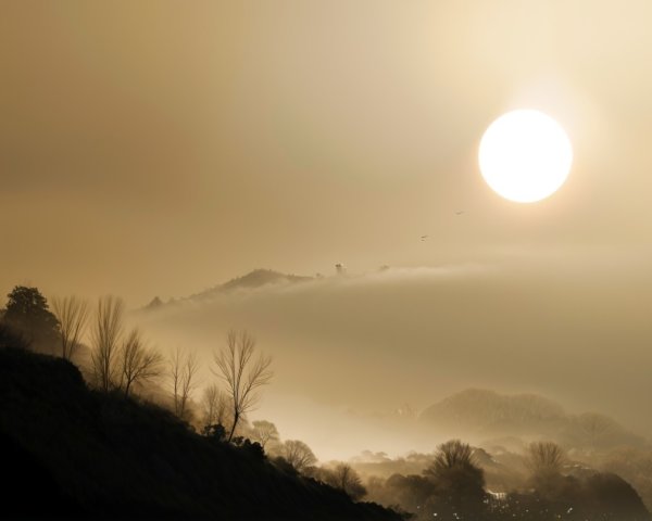 Serene Dusk Landscape with Silhouetted Trees and Hills