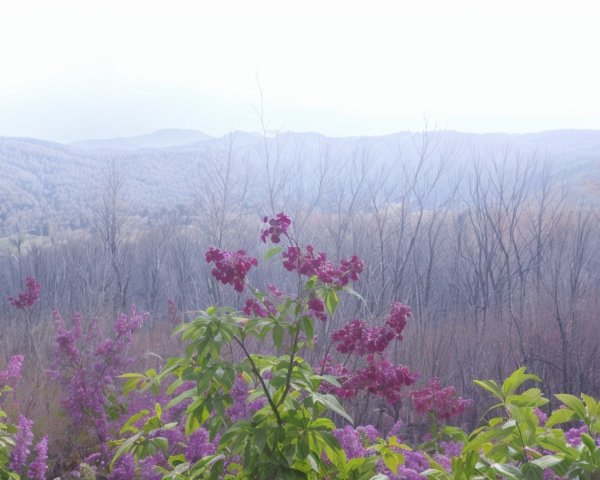 Serene Landscape with Mountains and Purple Flowers