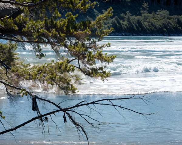 Serene Coastal Scene with Gentle Waves and Greenery