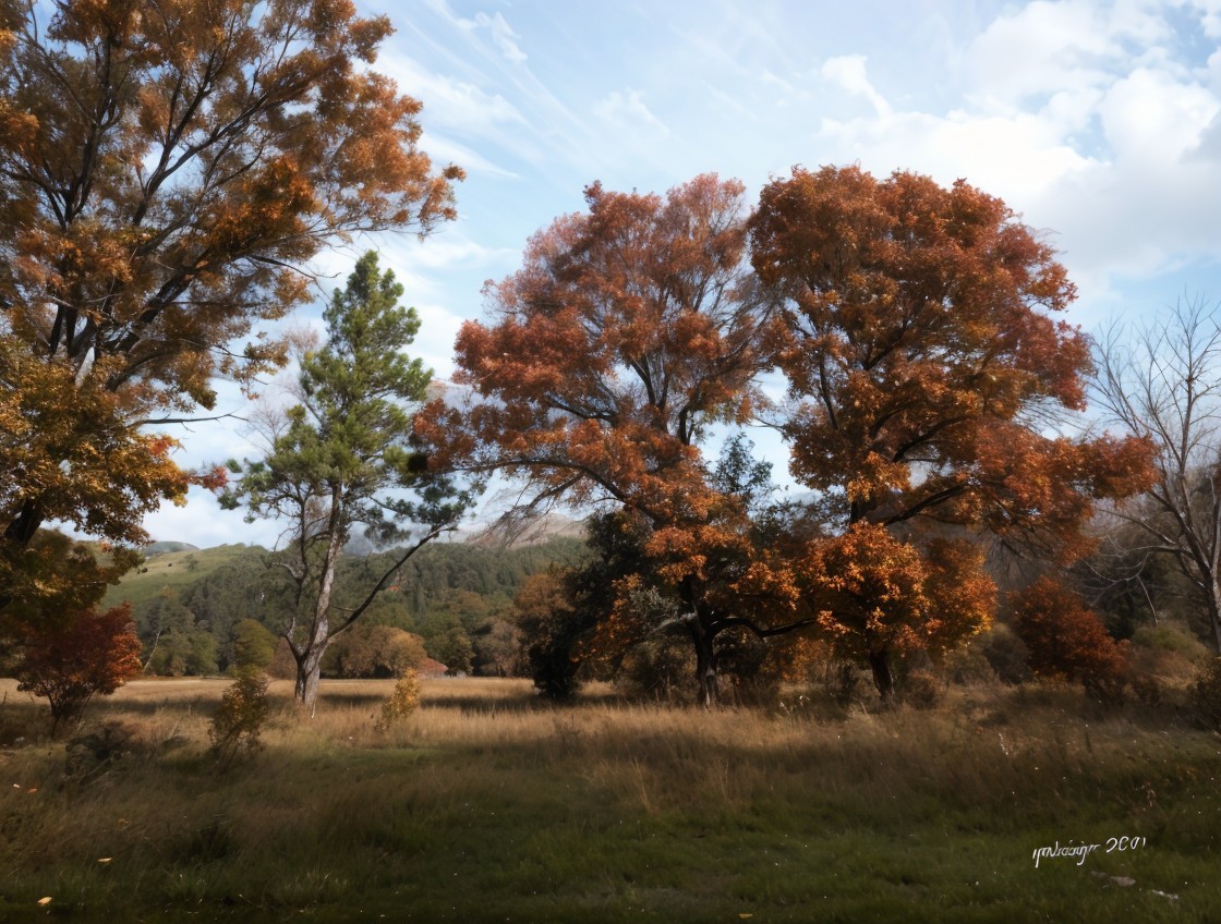 Autumn Landscape with Colorful Foliage and Hills