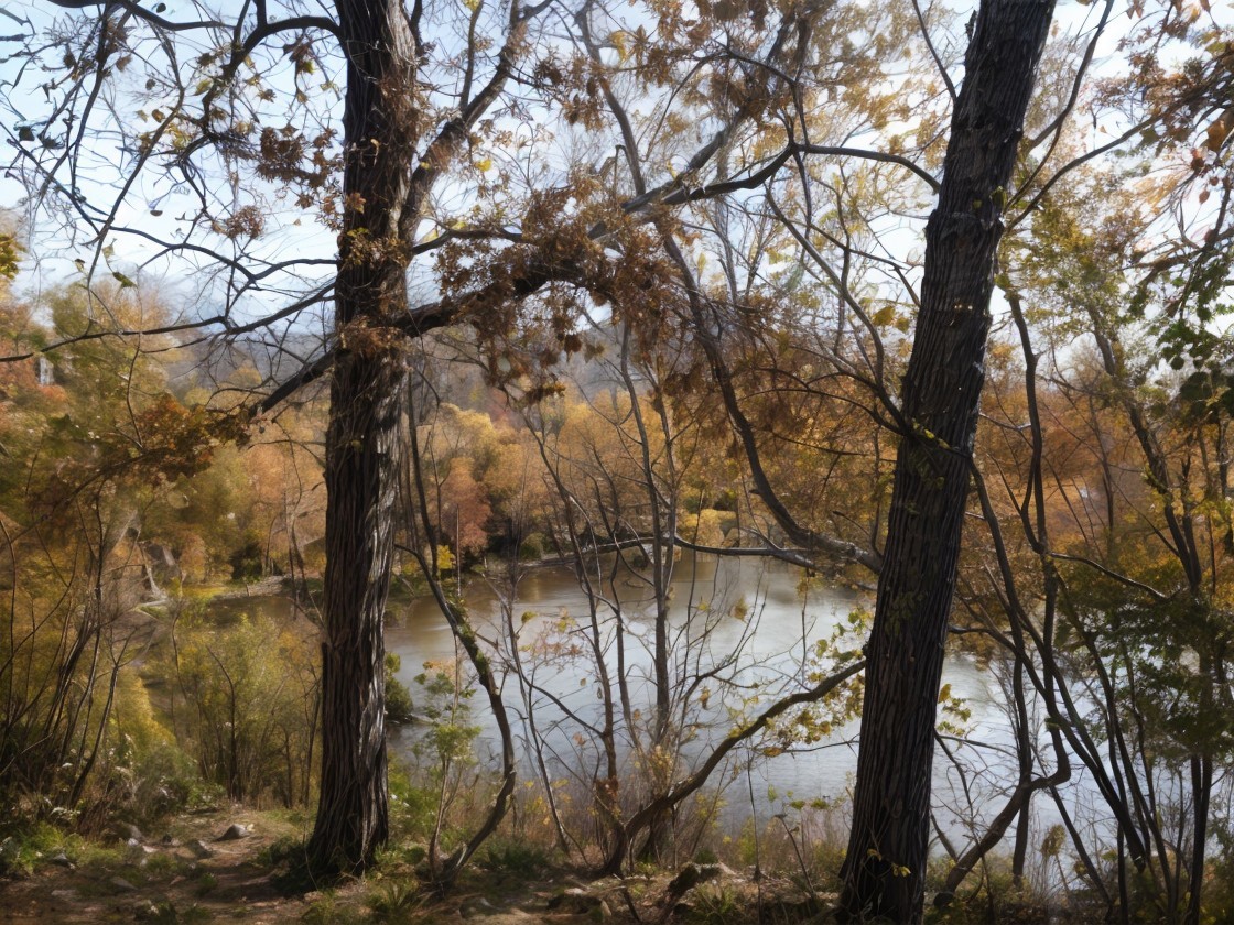 Autumn River Scene with Vibrant Foliage and Tranquility