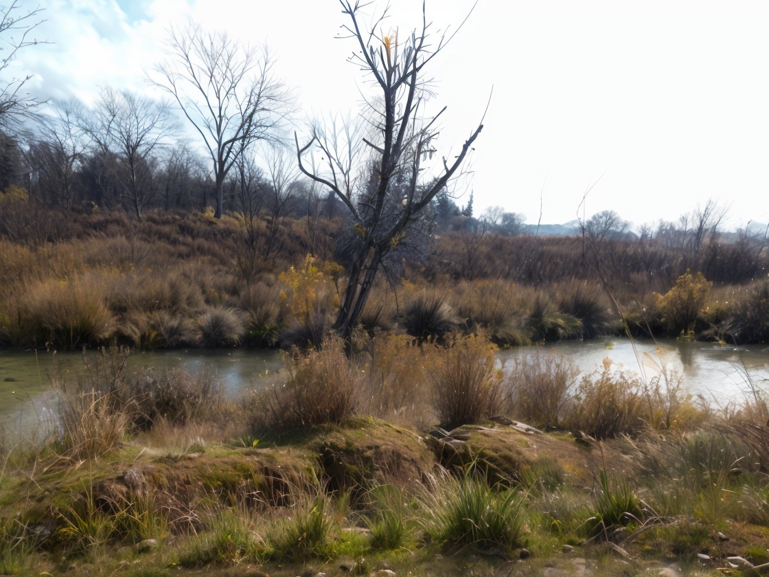 Serene Landscape with Tranquil River and Leafless Trees