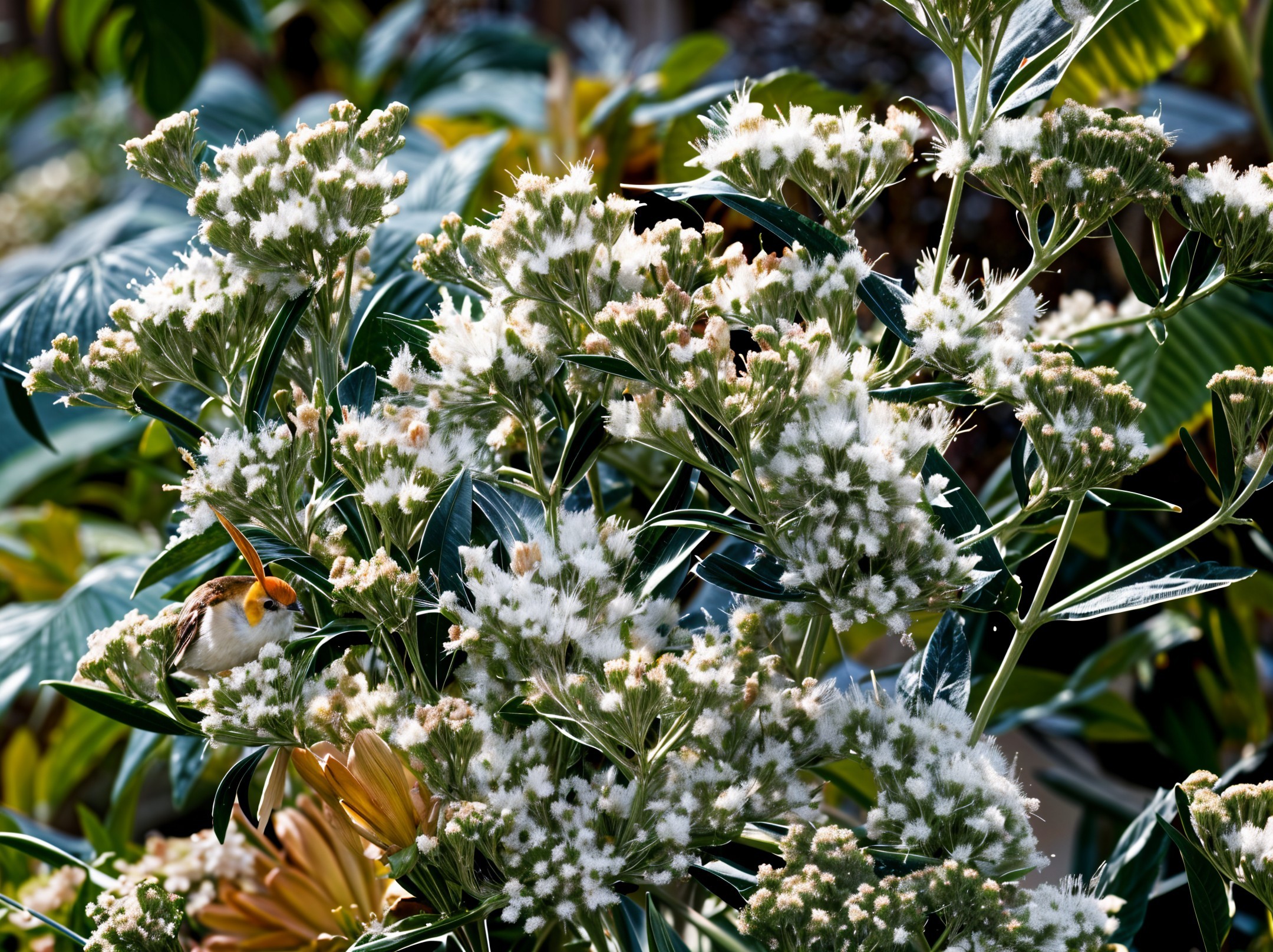 Lush Cluster of White Flowers with Green Leaves