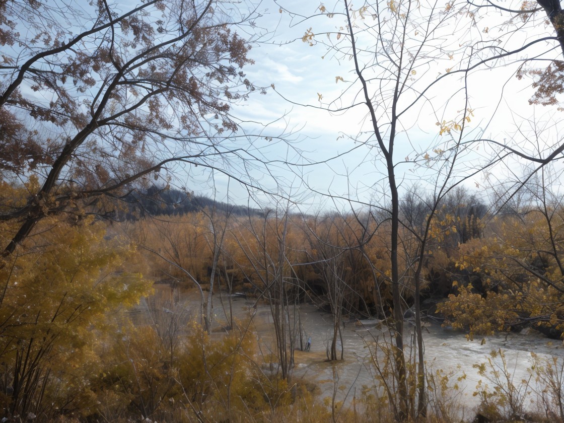 Tranquil River Scene with Autumn Leaves and Bare Trees
