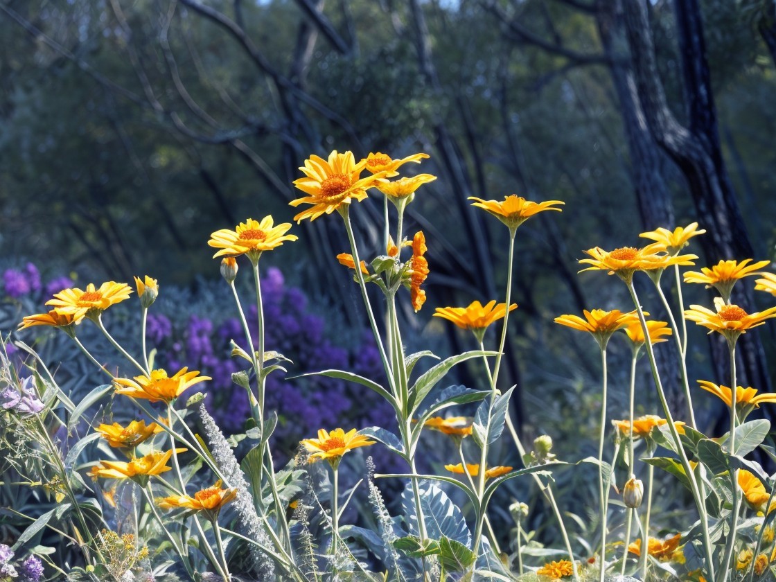 Vibrant Field of Yellow Wildflowers in Nature