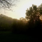 Serene Landscape with Trees and Sunrise Glow
