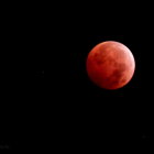 Lunar Eclipse Showcasing a Red-Hued Moon