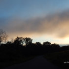 Serene Dusk Landscape with Winding Road and Trees