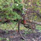 Weathered Wagon Wheel Amidst Overgrown Vegetation