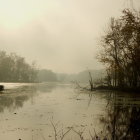 Serene landscape with river, trees, and mountains