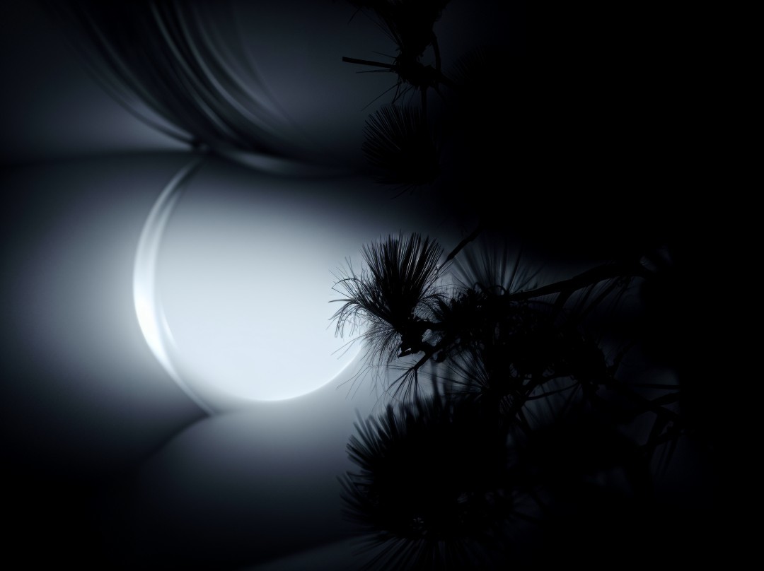 Contrast of Light and Shadow with Textured Silhouettes