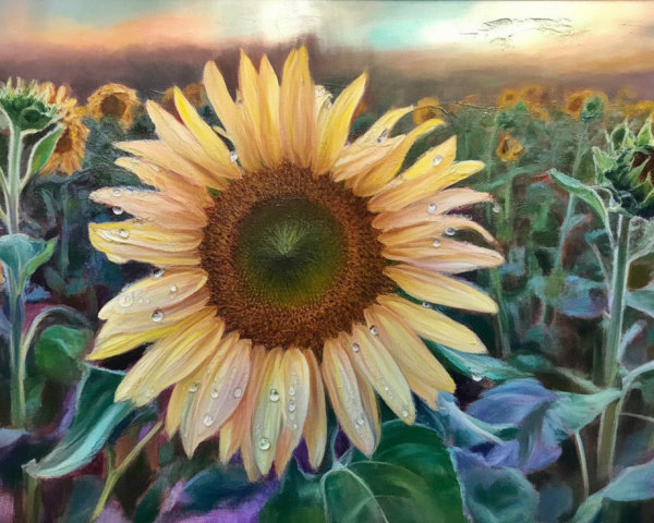 Sunflower Oil Painting with Sunset and Unpainted Canvas