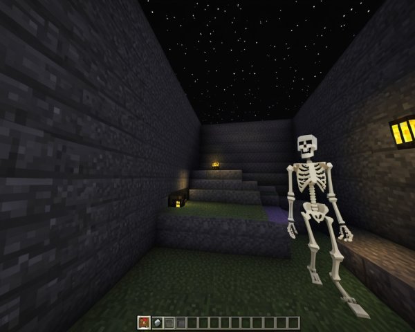 Skeleton in a Minecraft Pathway Under Starry Sky