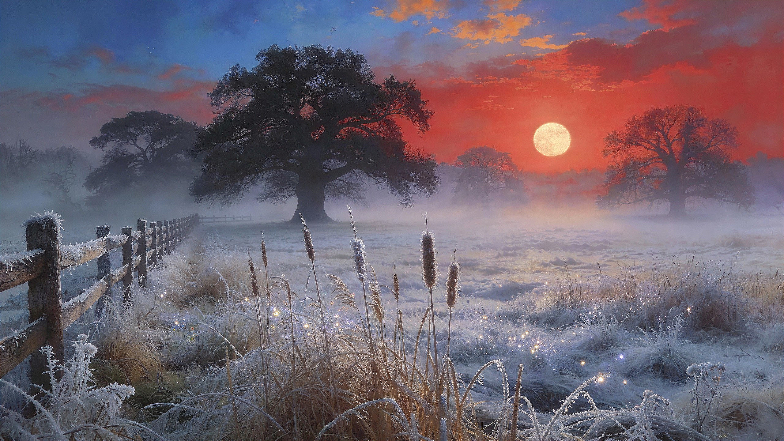 Winter Landscape with Moonlit Sky and Frosty Vegetation