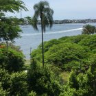 Serene Landscape with Layered Hills and Vibrant Greenery