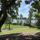 Surreal Forest Landscape with Whimsical Mushrooms