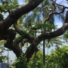 Vibrant Landscape with Figures and Colorful Foliage