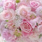 Whimsical Scene of Bird on Bell Among Cherry Blossoms