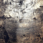 Woman on rooftop enjoying fireworks over city skyline