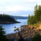 Tranquil Lake Surrounded by Lush Green Hills and Pines