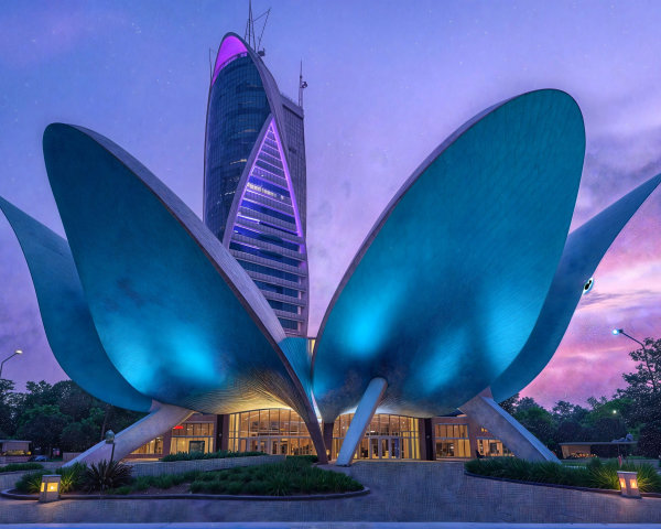 Modern Architectural Structure with Organic Design