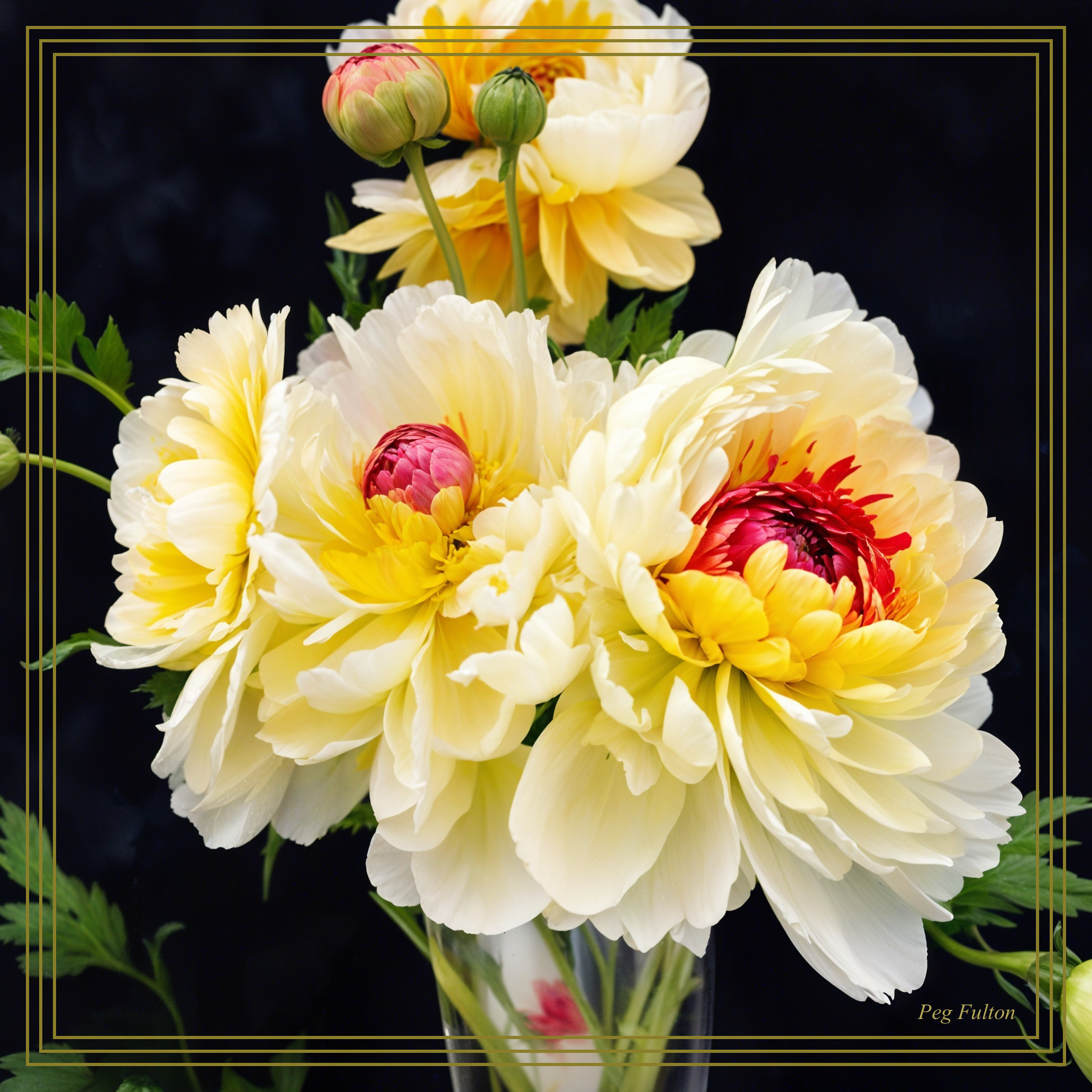 Vibrant Yellow and Red Peony Bouquet with Green Leaves