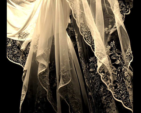 Ethereal Garment with Sheer Fabric and Floral Embroidery