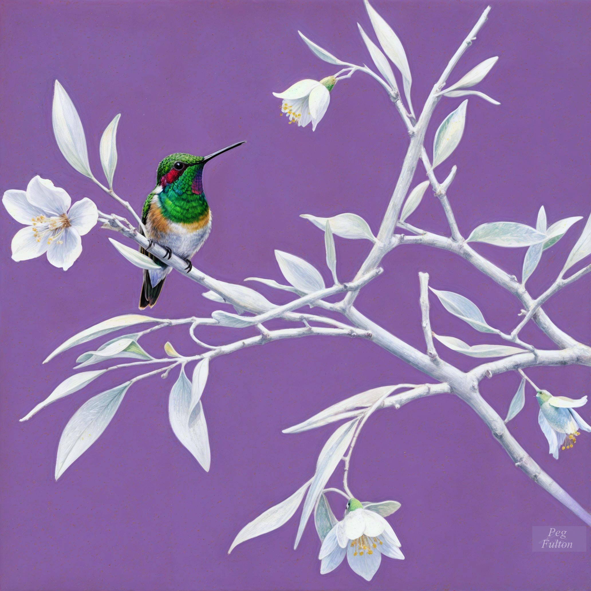 Detailed illustration of a hummingbird on a branch
