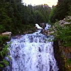 Vibrant Landscape with Stream and Colorful Lily Pads