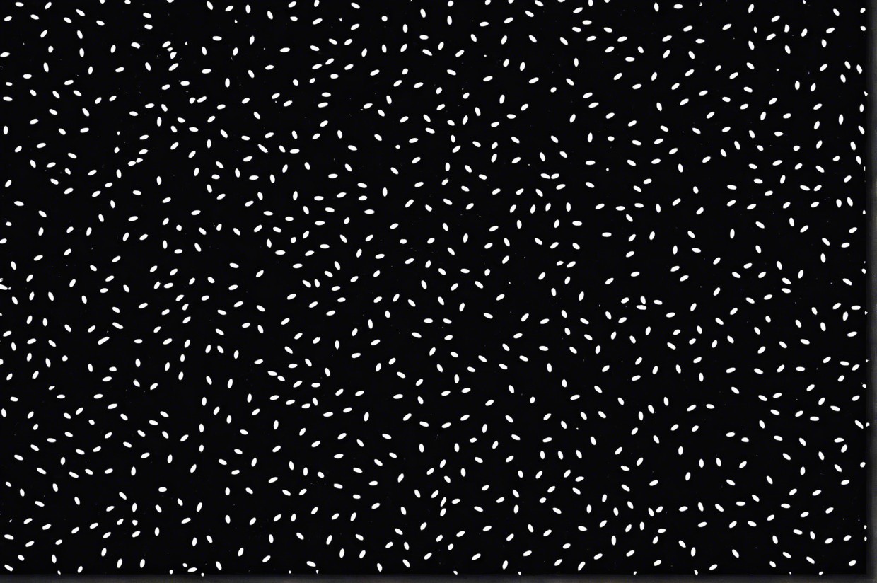Black Background with Random White Seed-Like Shapes