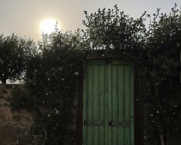 Rustic Green Door Against Textured Stone Wall