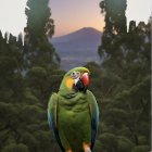 Vibrant Parrot Amidst Sunset and Mountain Landscape