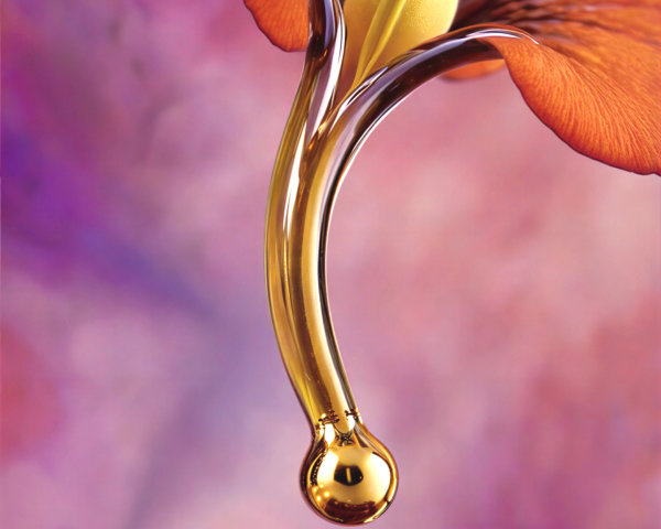 Vibrant Flower with Intricate Structure and Droplet