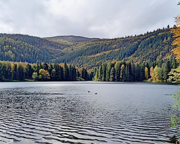 Serene Lake Surrounded by Autumn Foliage and Forests