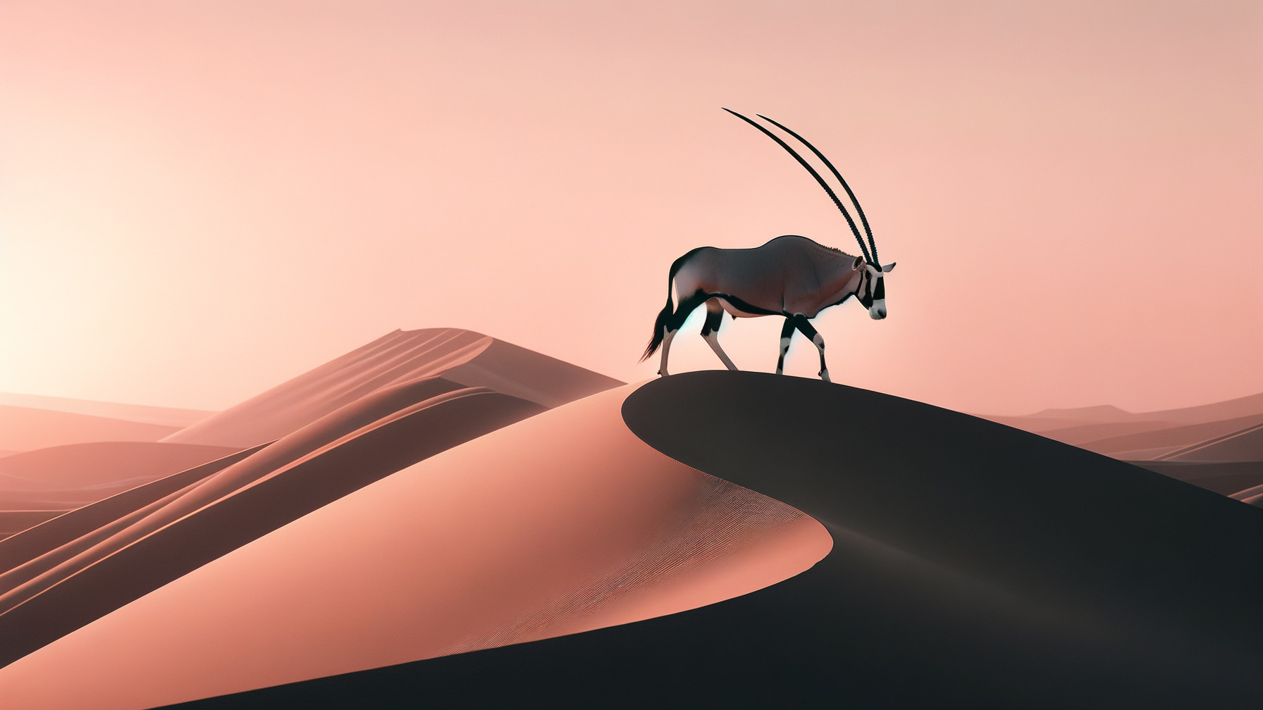 Oryx in a Desert Landscape at Sunset