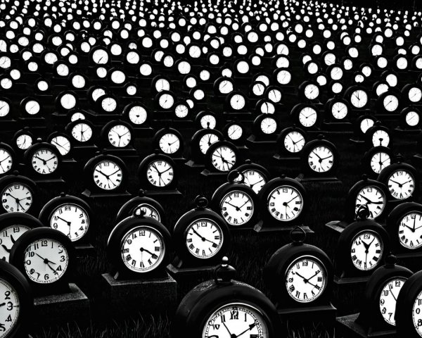 Vintage Alarm Clocks in Black and White Field Arrangement