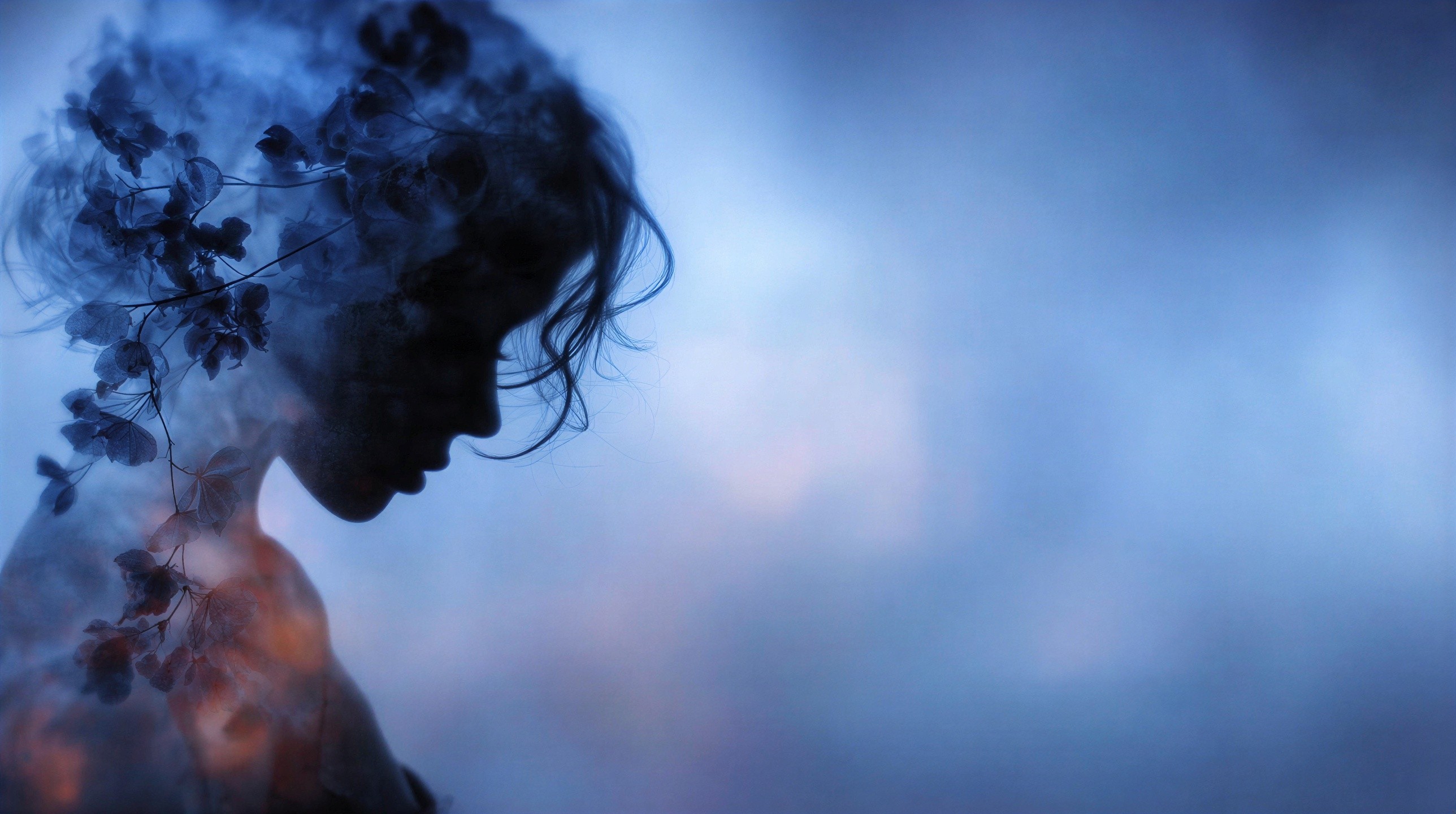 Silhouette of a Woman with Floral Elements and Fog