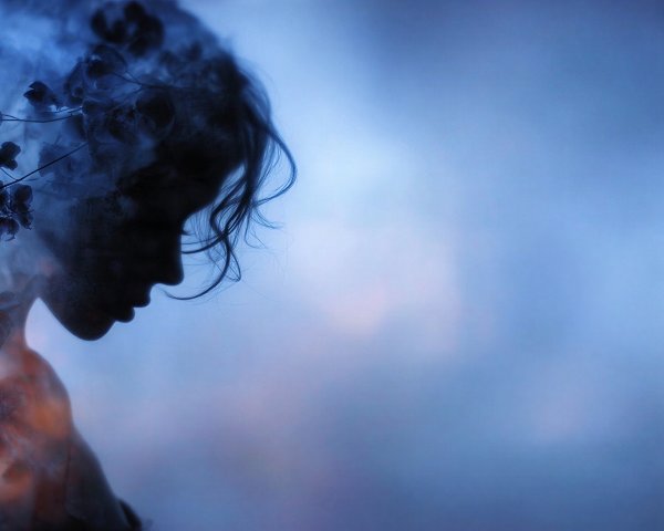 Silhouette of a Woman with Floral Elements and Fog