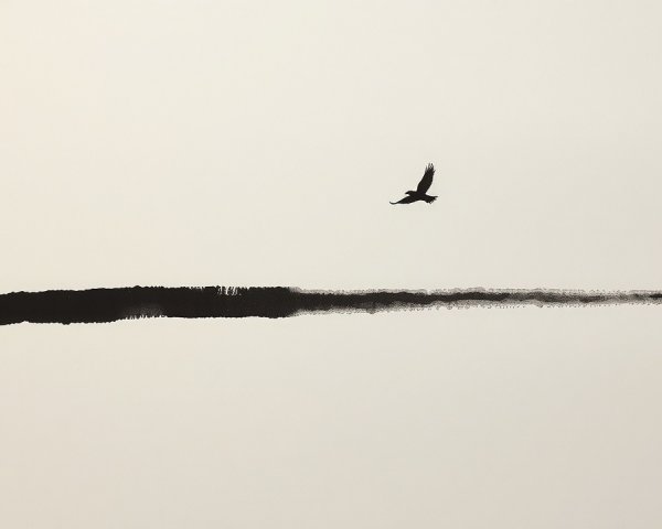 Solitary Bird Against Minimalistic Sky and Horizon