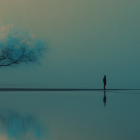 Solitary Figure by Tranquil Water in Misty Atmosphere