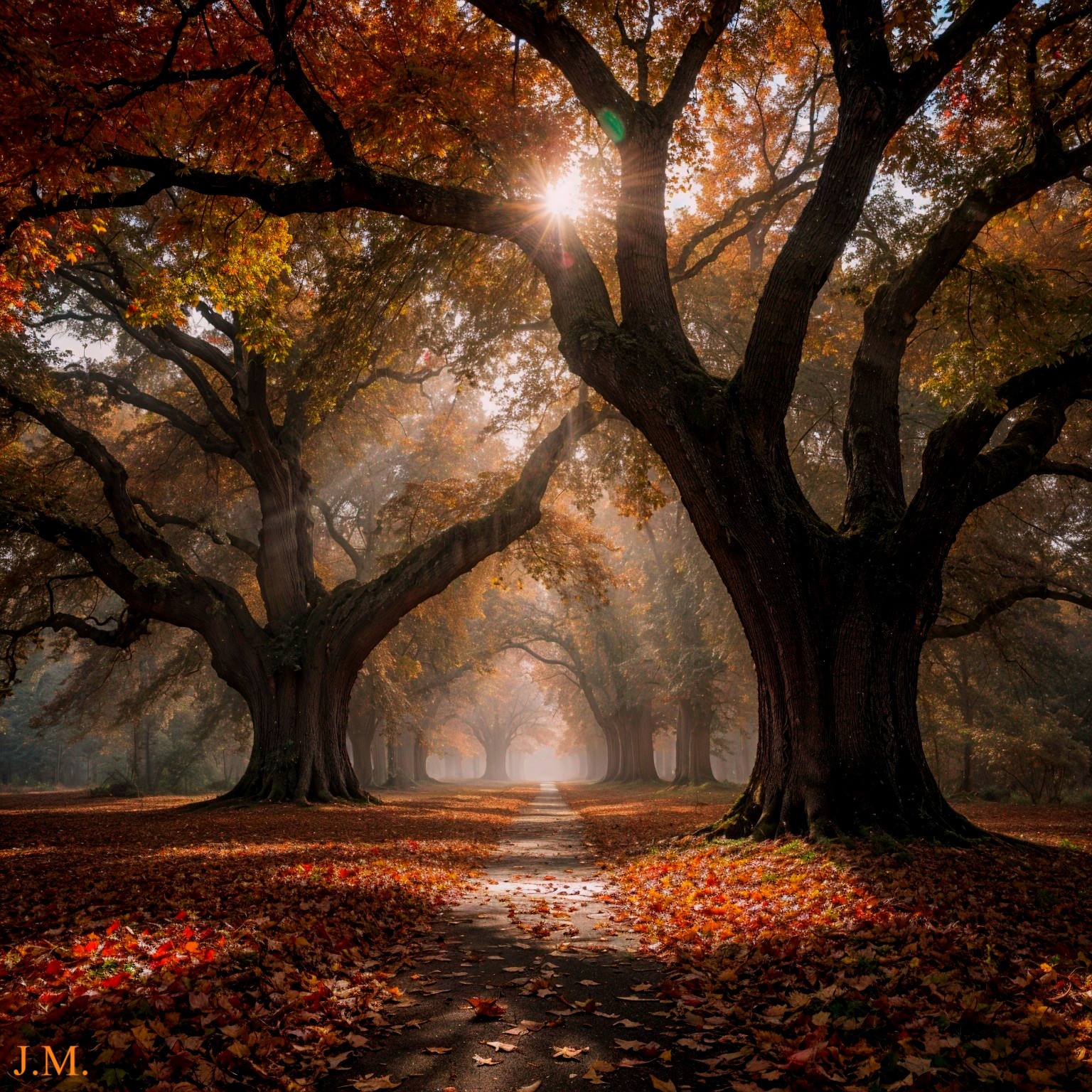 Autumn Landscape with Vibrant Trees and Misty Path