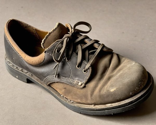 Worn-Out Brown Leather Shoe with Scuffed Upper