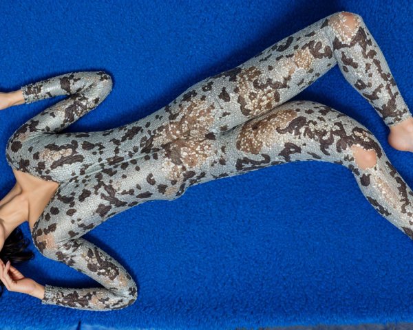 Model in Shimmering Animal Print Bodysuit on Blue Background