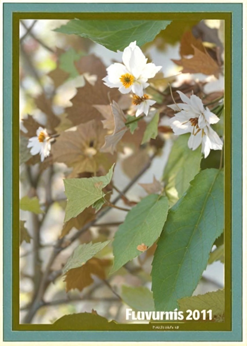 Botanical Scene with White Flowers and Green Leaves