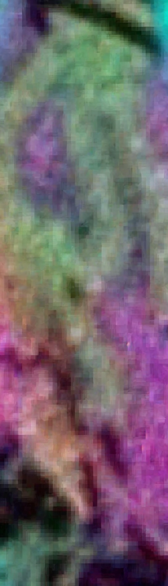 Vibrant Abstract Texture with Purple and Green Shades